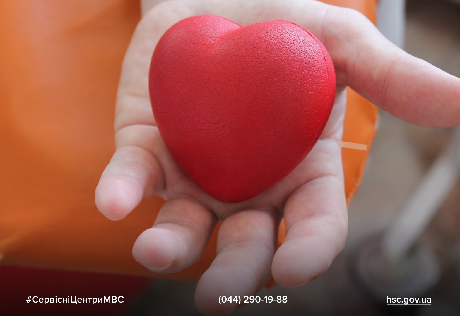 2a5b8d80-bc07-4402-87c0-a816a99f04dd