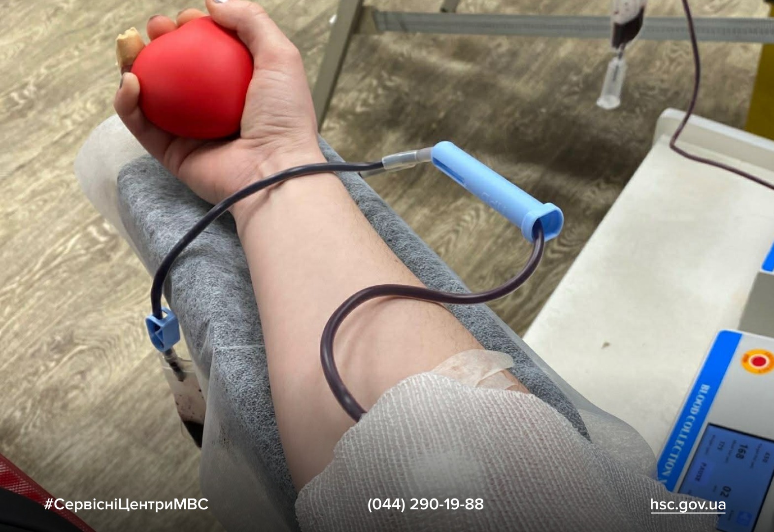 7afc2868-6370-4e22-9514-b6302ed5aa0a