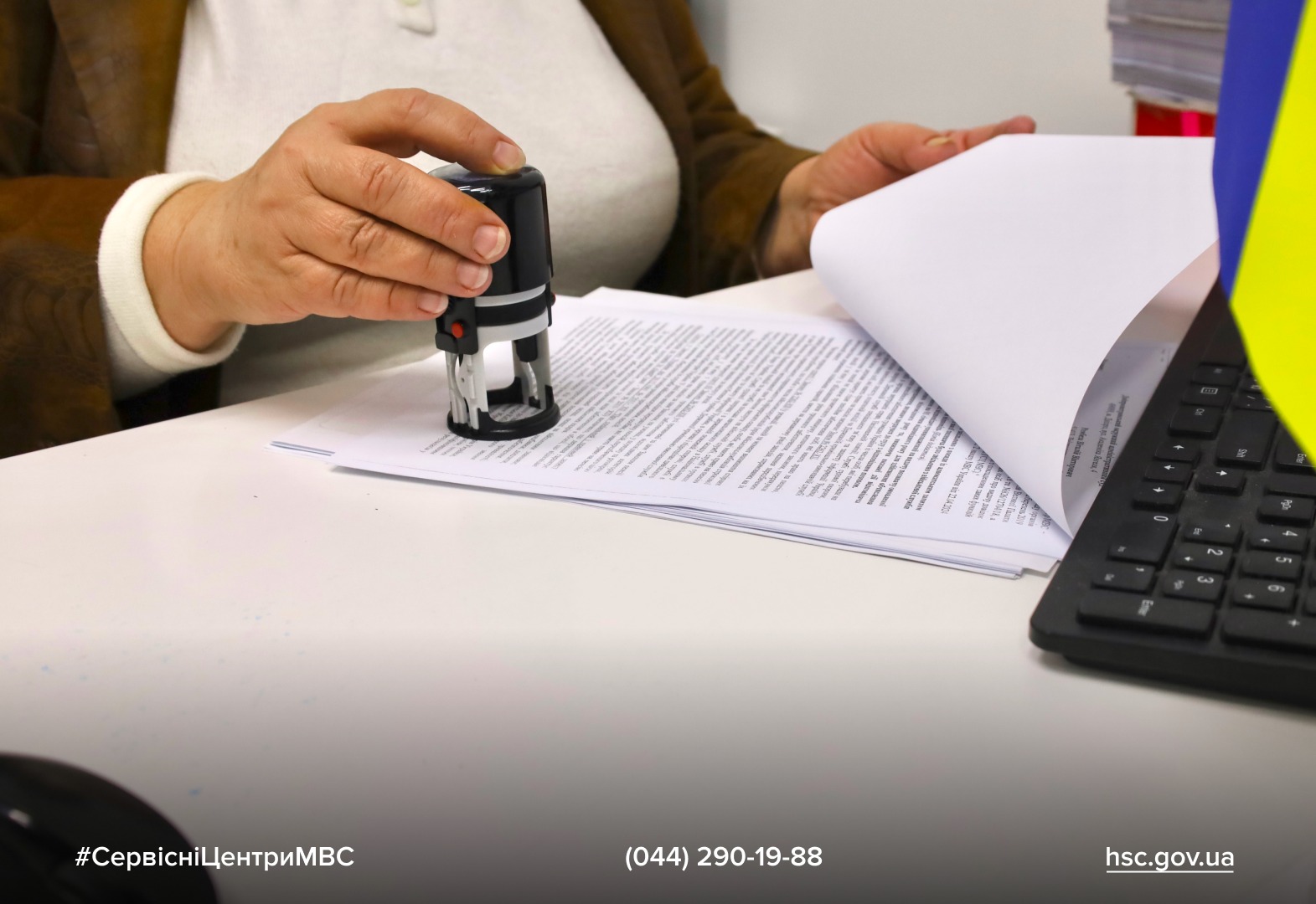 WhatsApp Image 2025-11-17 at 10.43.11