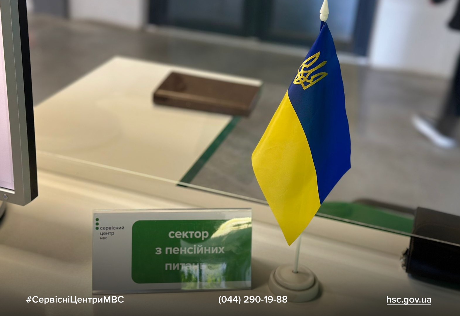 WhatsApp Image 2025-11-17 at 13.08.49