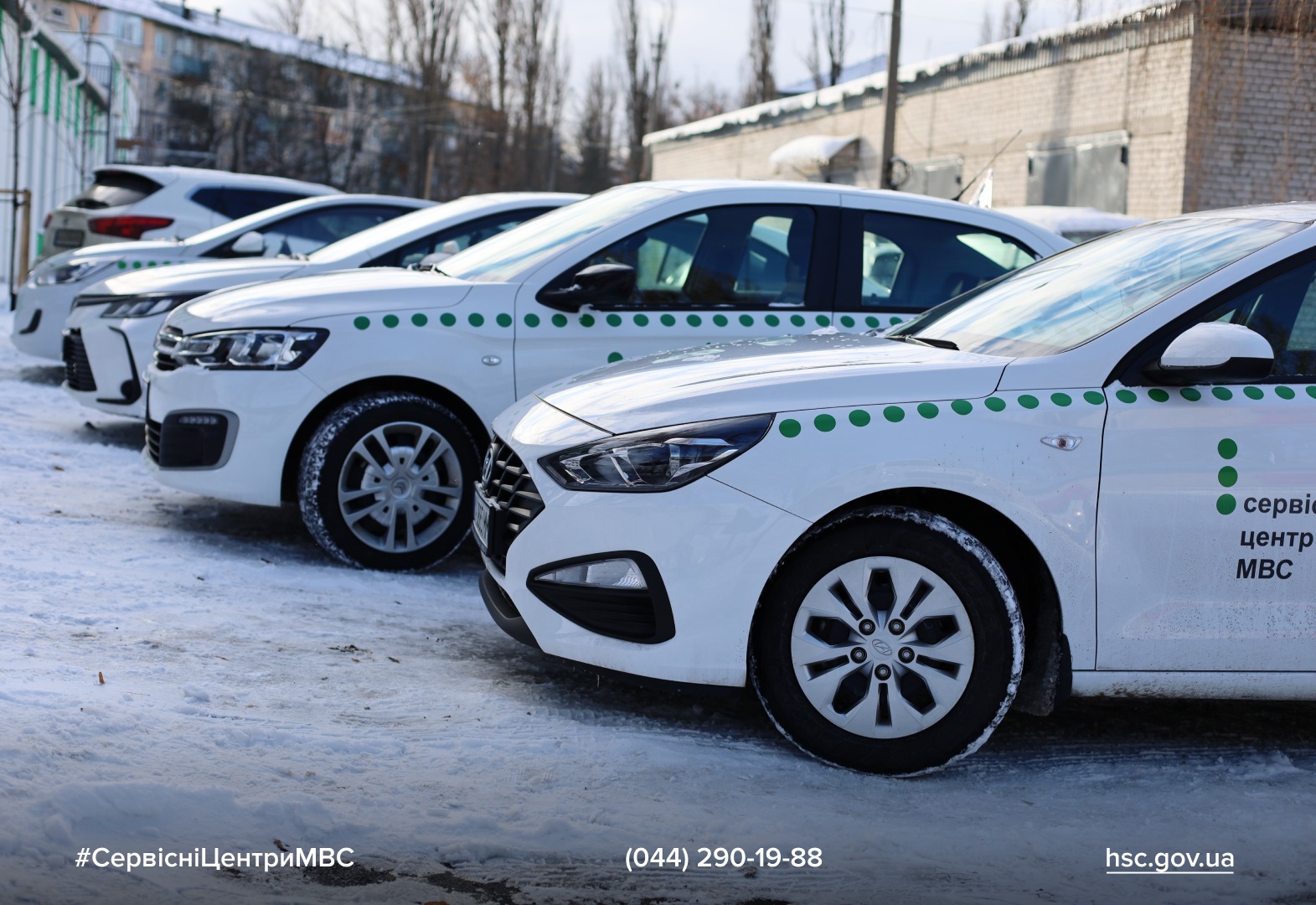 WhatsApp Image 2025-12-30 at 14.35.09 (1)