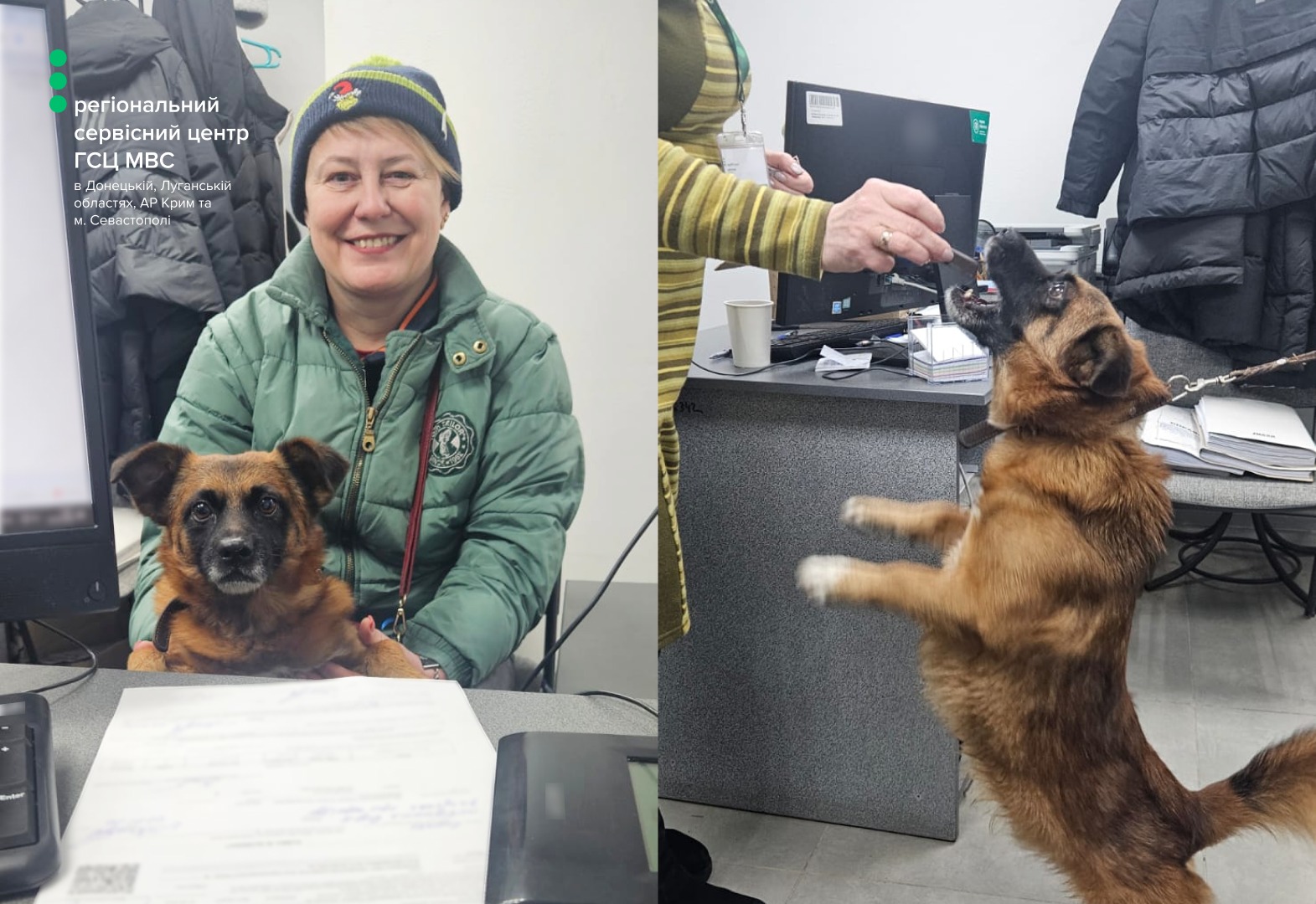 WhatsApp Image 2026-01-28 at 15.21.21 (1)