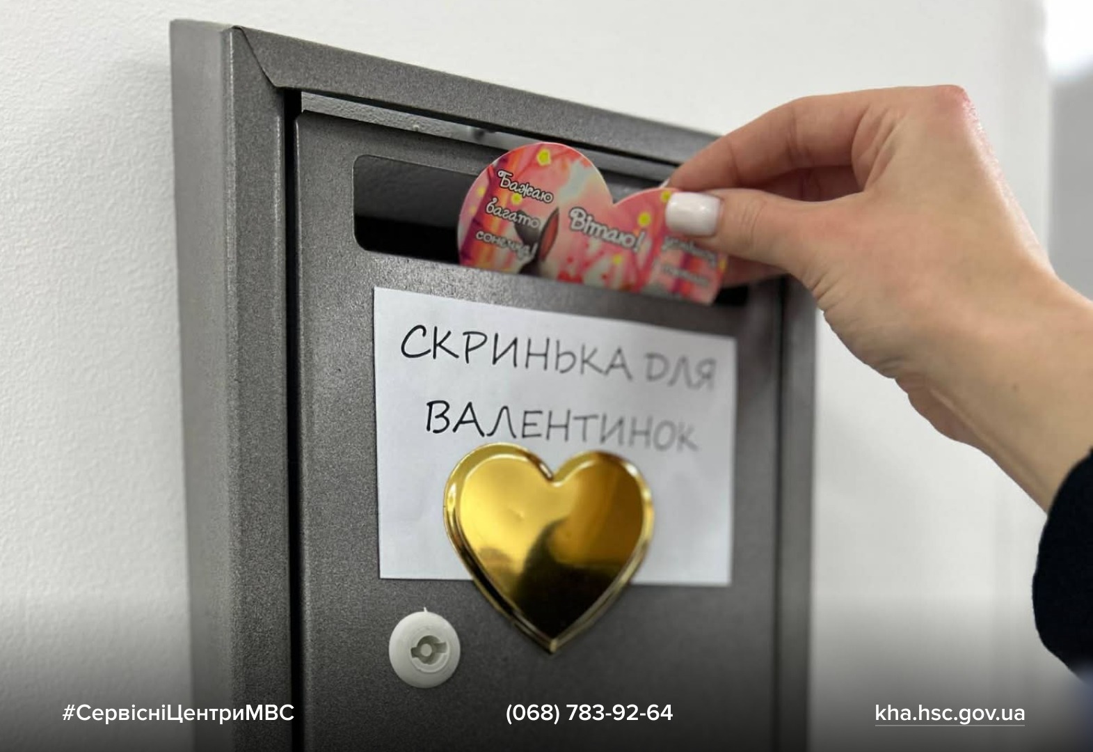 WhatsApp Image 2026-02-16 at 11.49.23